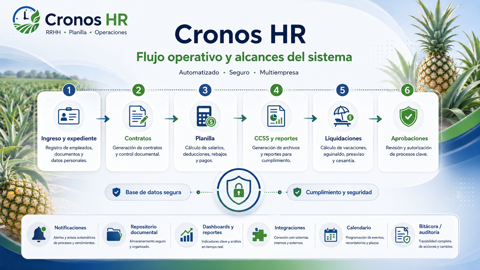 Flujo del sistema